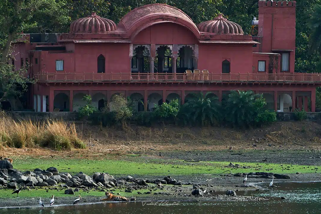Jogi Mahal – Ranthambore National Park Jogi Mahal - Ranthambore National Park