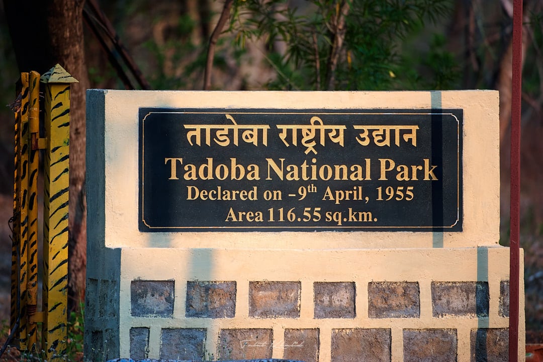 Tadoba National Park - Tadoba Andhari Tiger Reserve - TATR