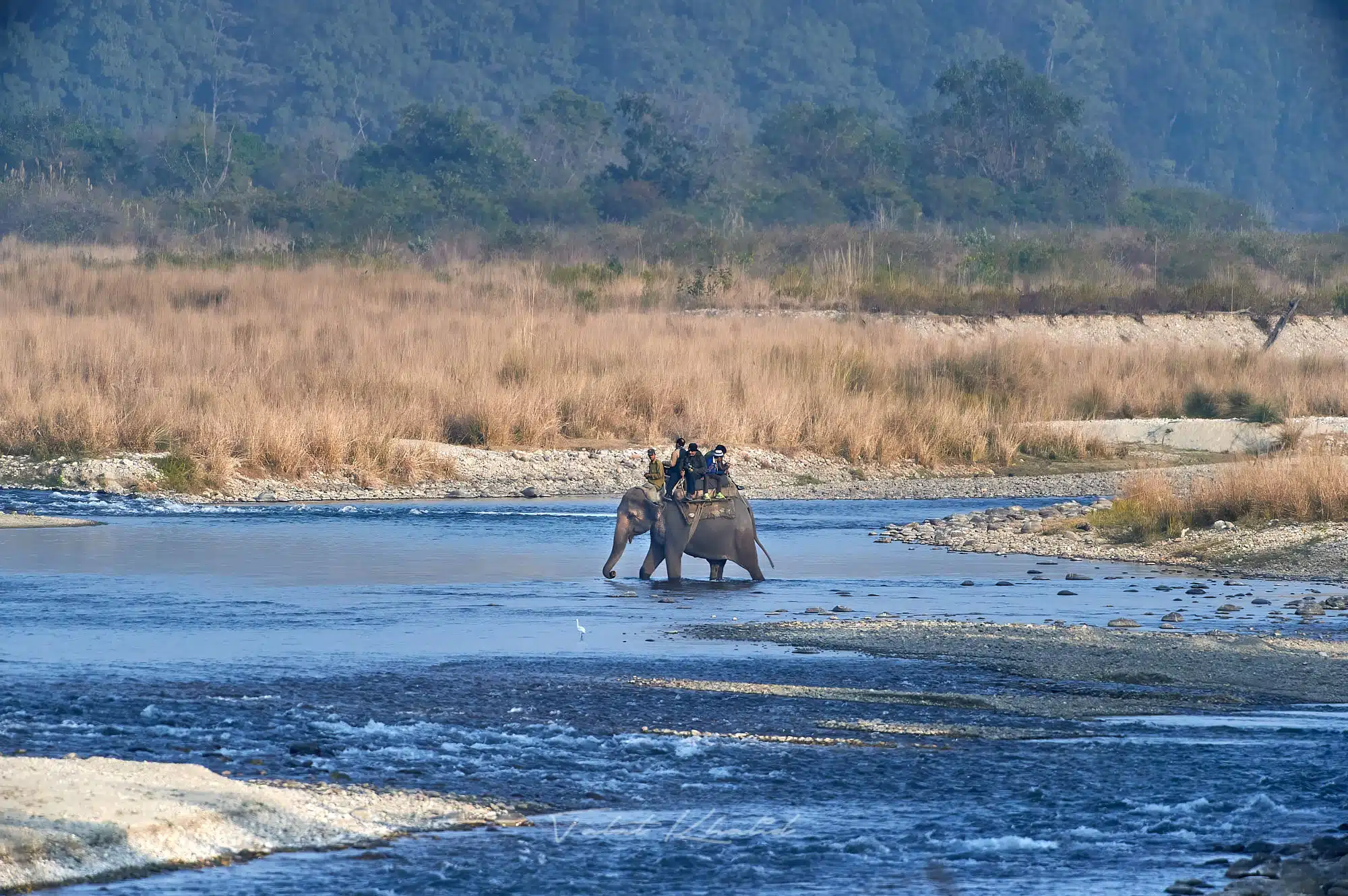 Corbett Elephant Safari Tour