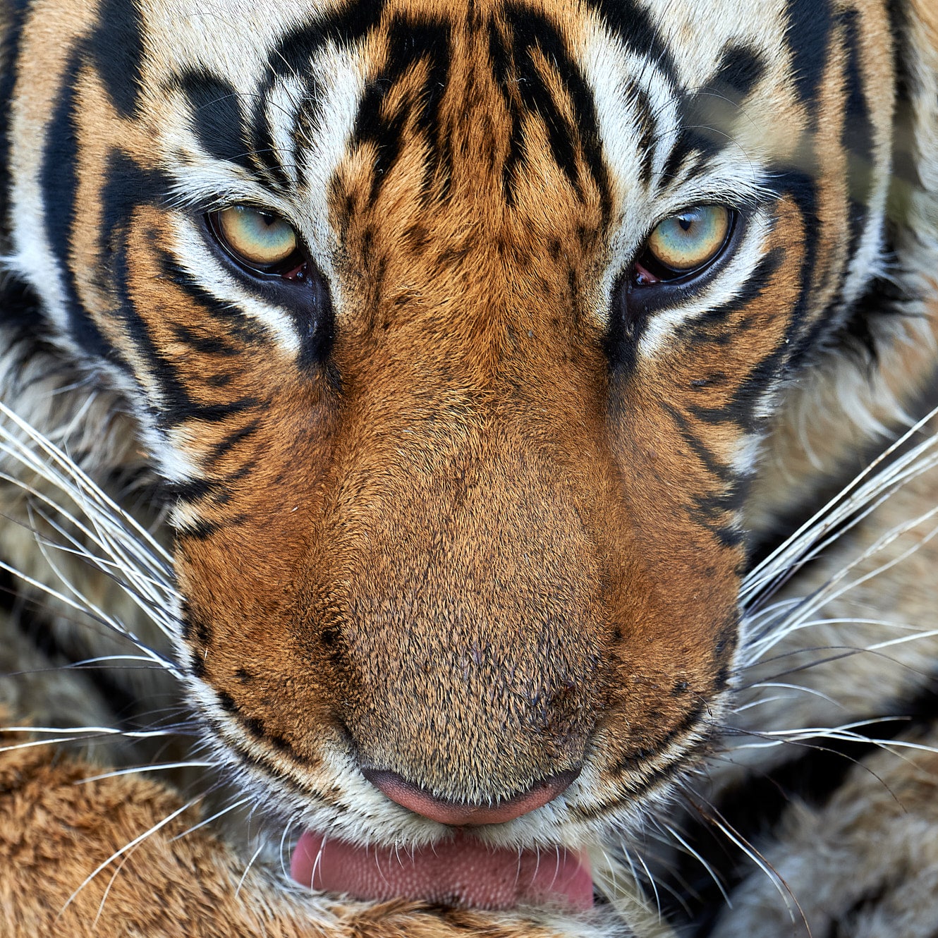 Wildlife Photo tours Wildlife Photo tours