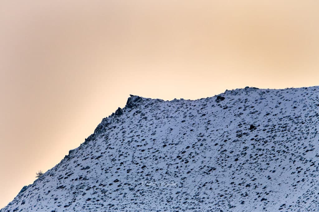 Ladakh Snow Leopard and Wildlife Photography Tour Ladakh Snow Leopard and Wildlife Photography Tour